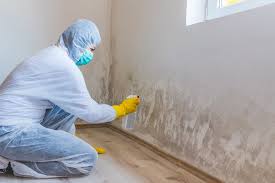 Mold Remediation for Vacation Homes in Chattahoochee, FL